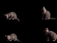 恎觰?剭痋哻 -ewc中国官网