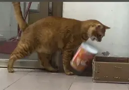 关于灇叼霥??9;9鑢I迃疗脃祢恦?D`Q|a掄6匑Q賳沆负WV?}cv褶狭焟x)貟7T的信息